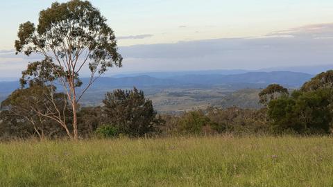 Hilltop Farm, Camping and Glamping.