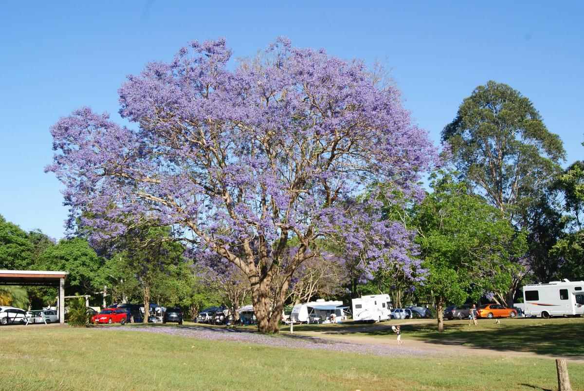 Camping Sites