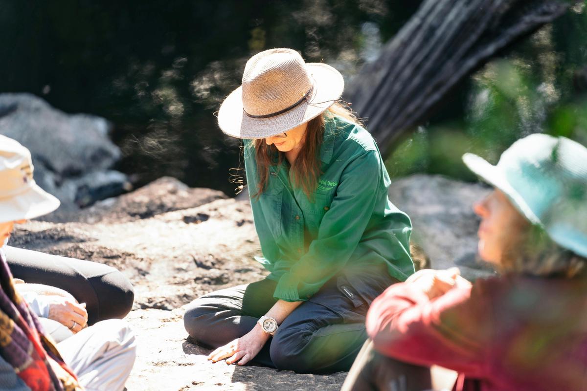 Nature & Forest Bathing, Kondalilla National Park