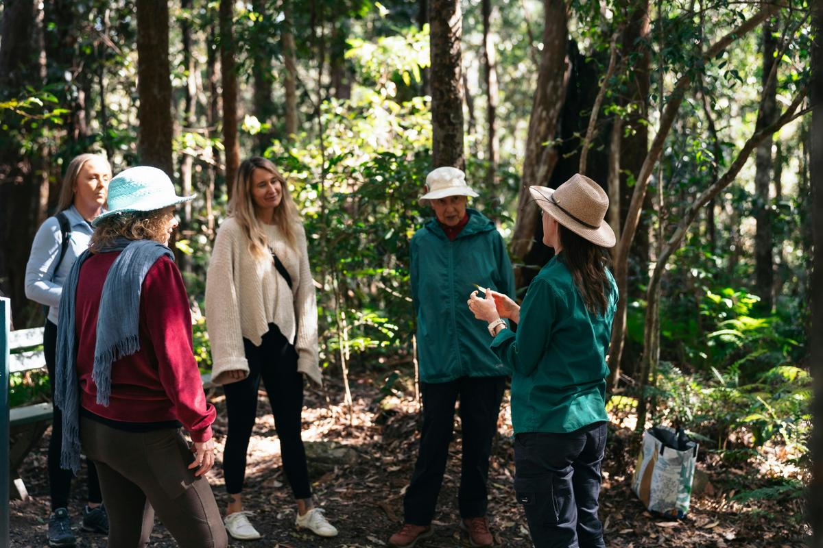 Forest bathing circle