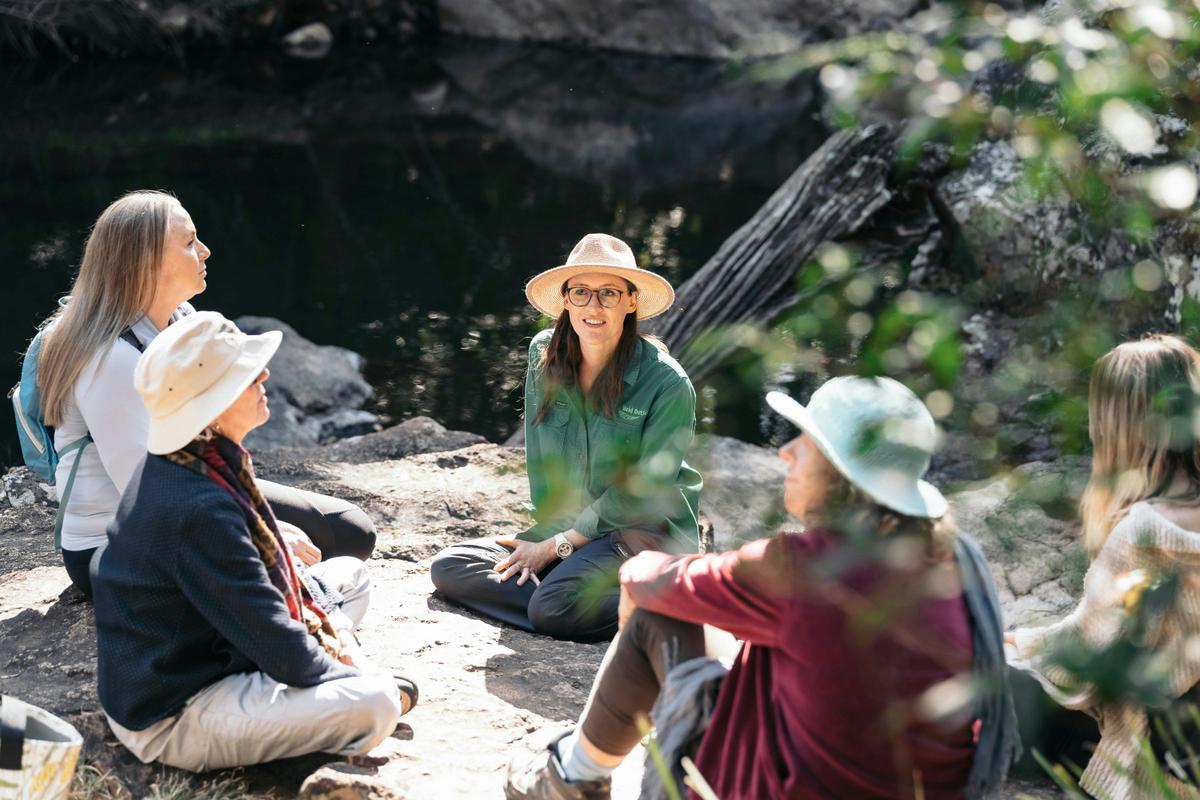 Held Outside nature bathing group