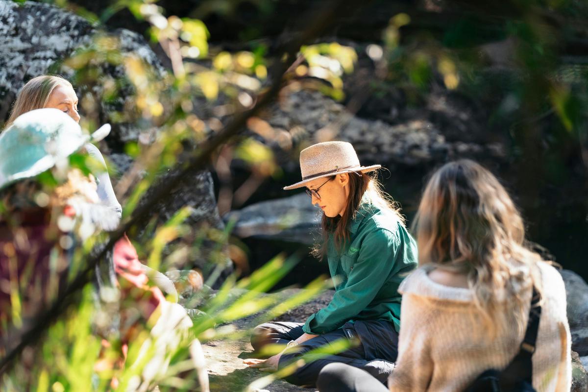 Sunshine Coast Nature & Forest Bathing private walking tours