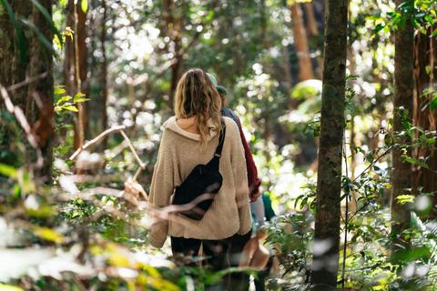 Nature & Forest Bathing, Mapleton Falls National Park