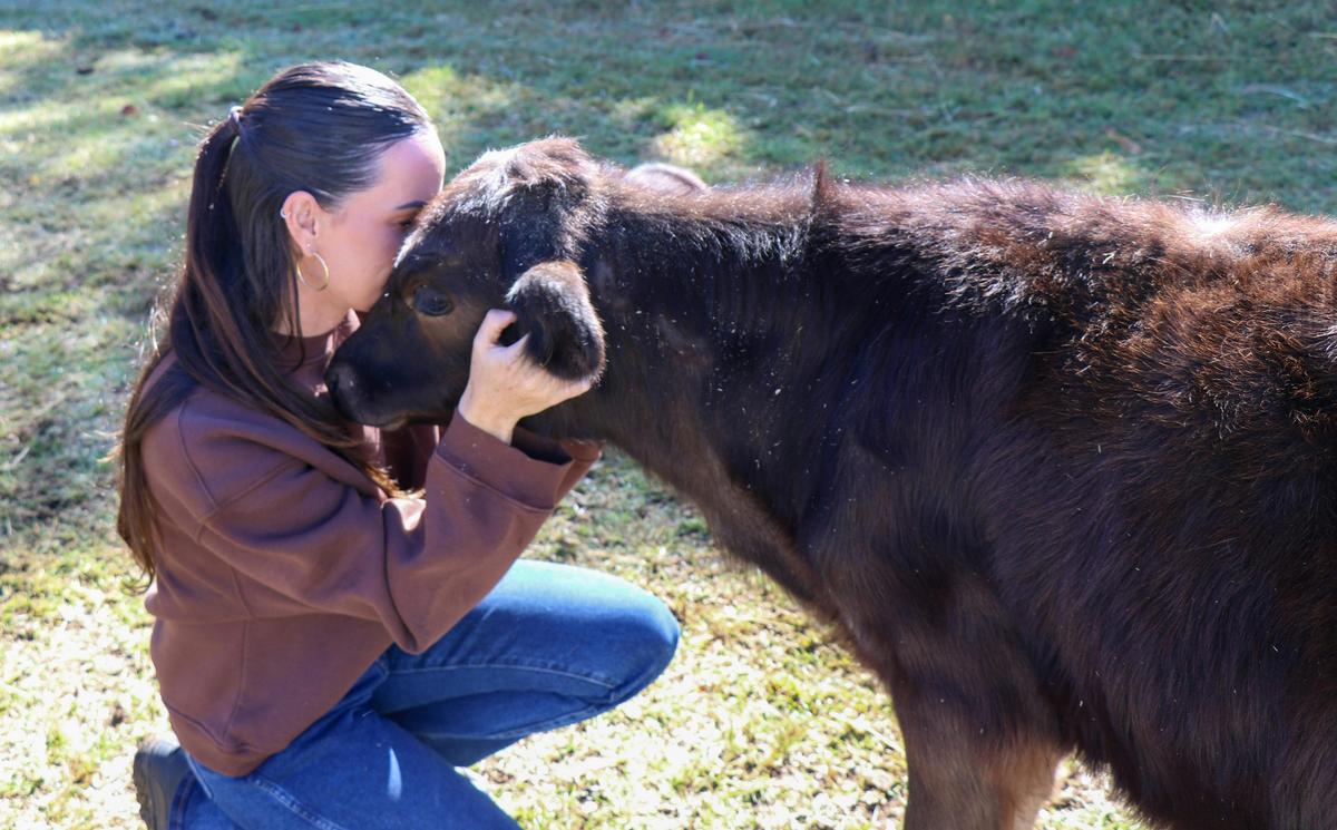 Platinum Highland Farm Experience with Lunch