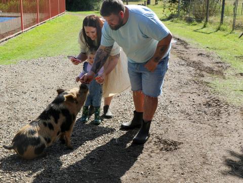 Platinum Highland Farm Experience with Lunch