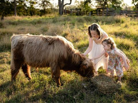 Highland Hideaway Experiences