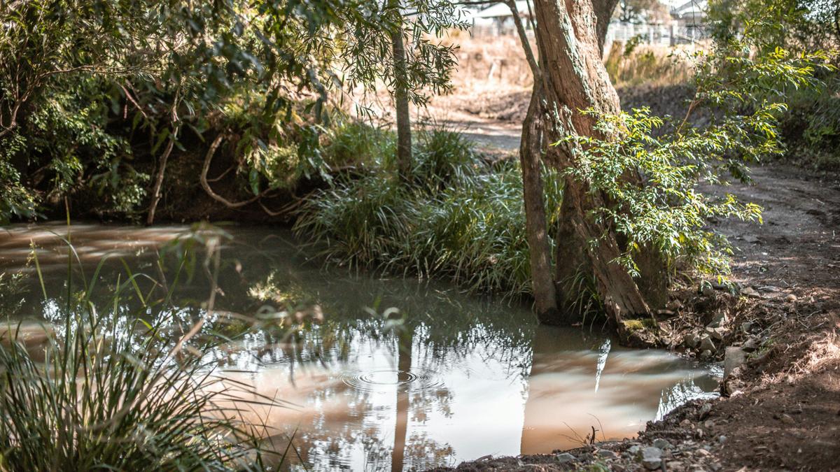 Creek crossing