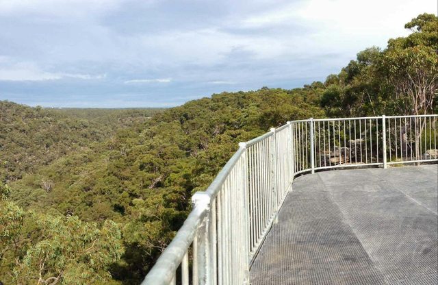 O’Hares Creek lookout walking track
