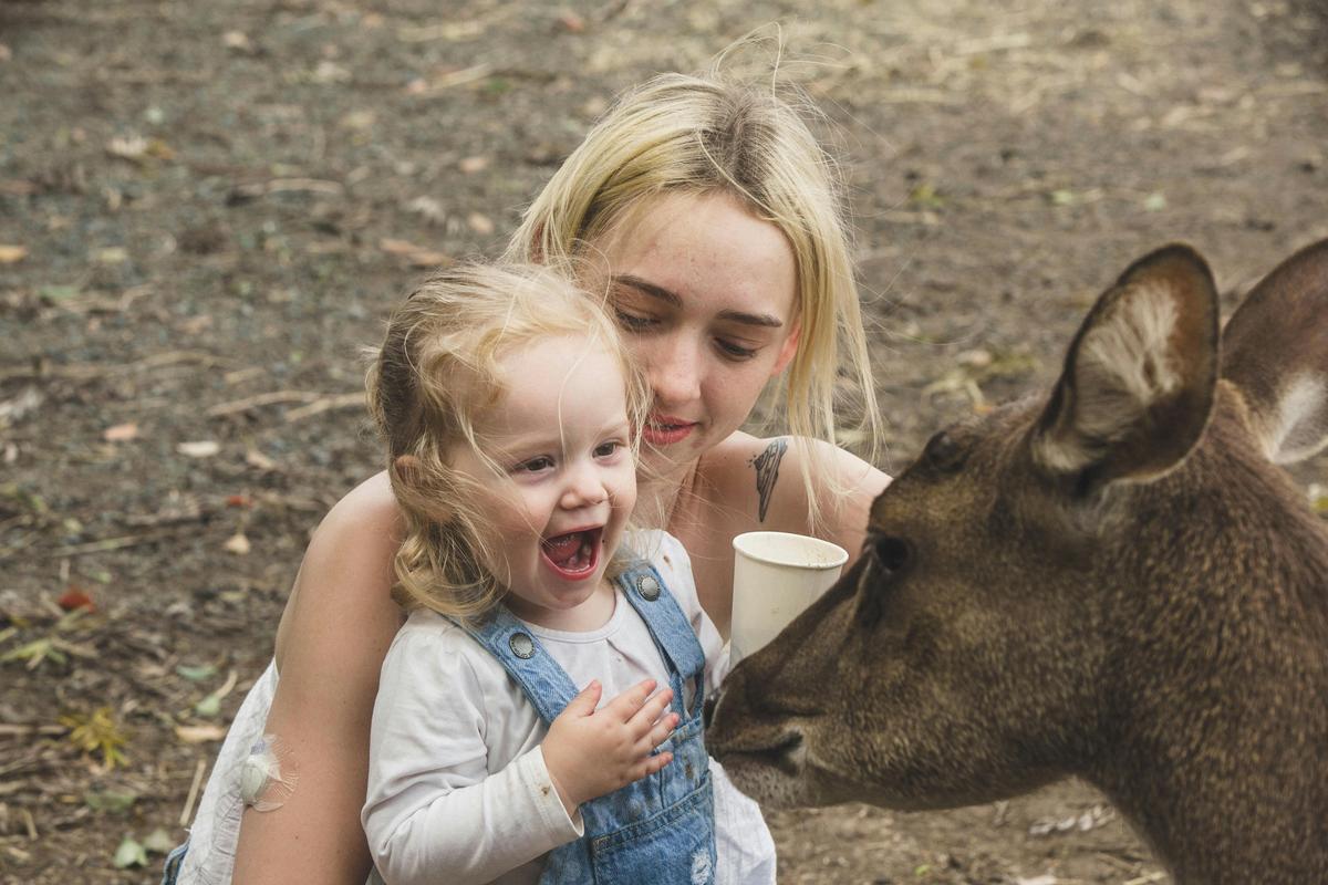 Deer feeding experience! Don't miss it!