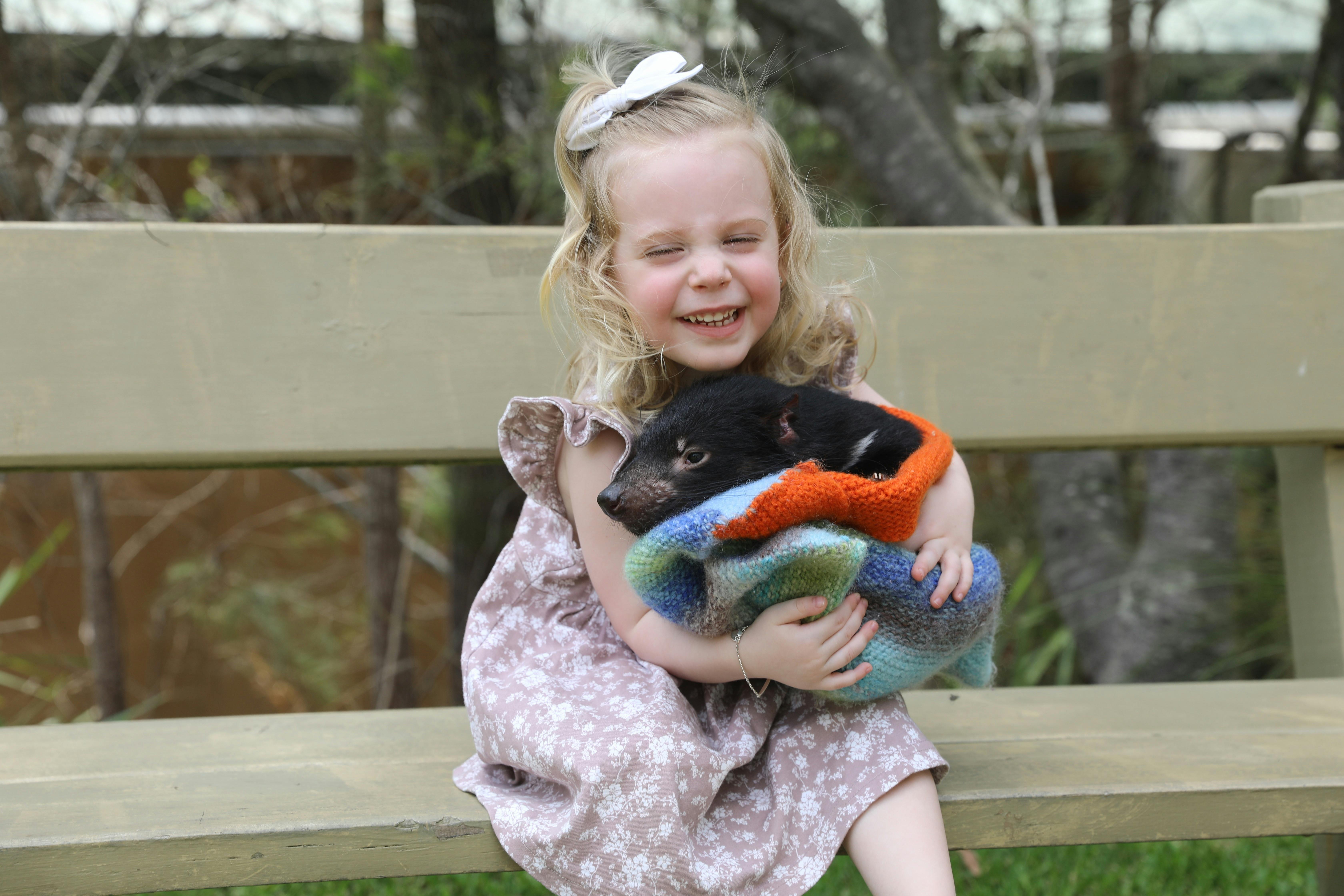 Cuddle up with a Tasmanian devil joey on an Animal Encounter