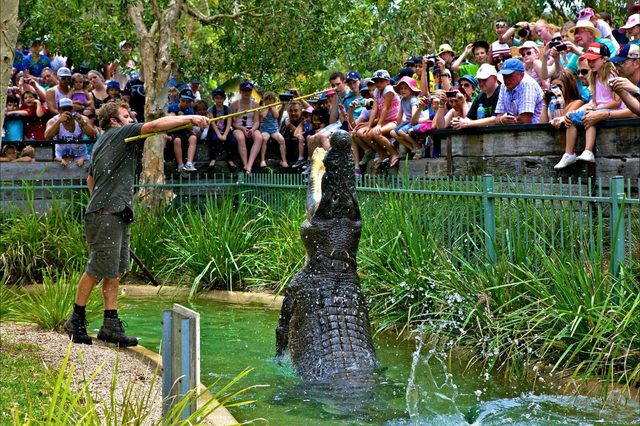 Australian Reptile Park
