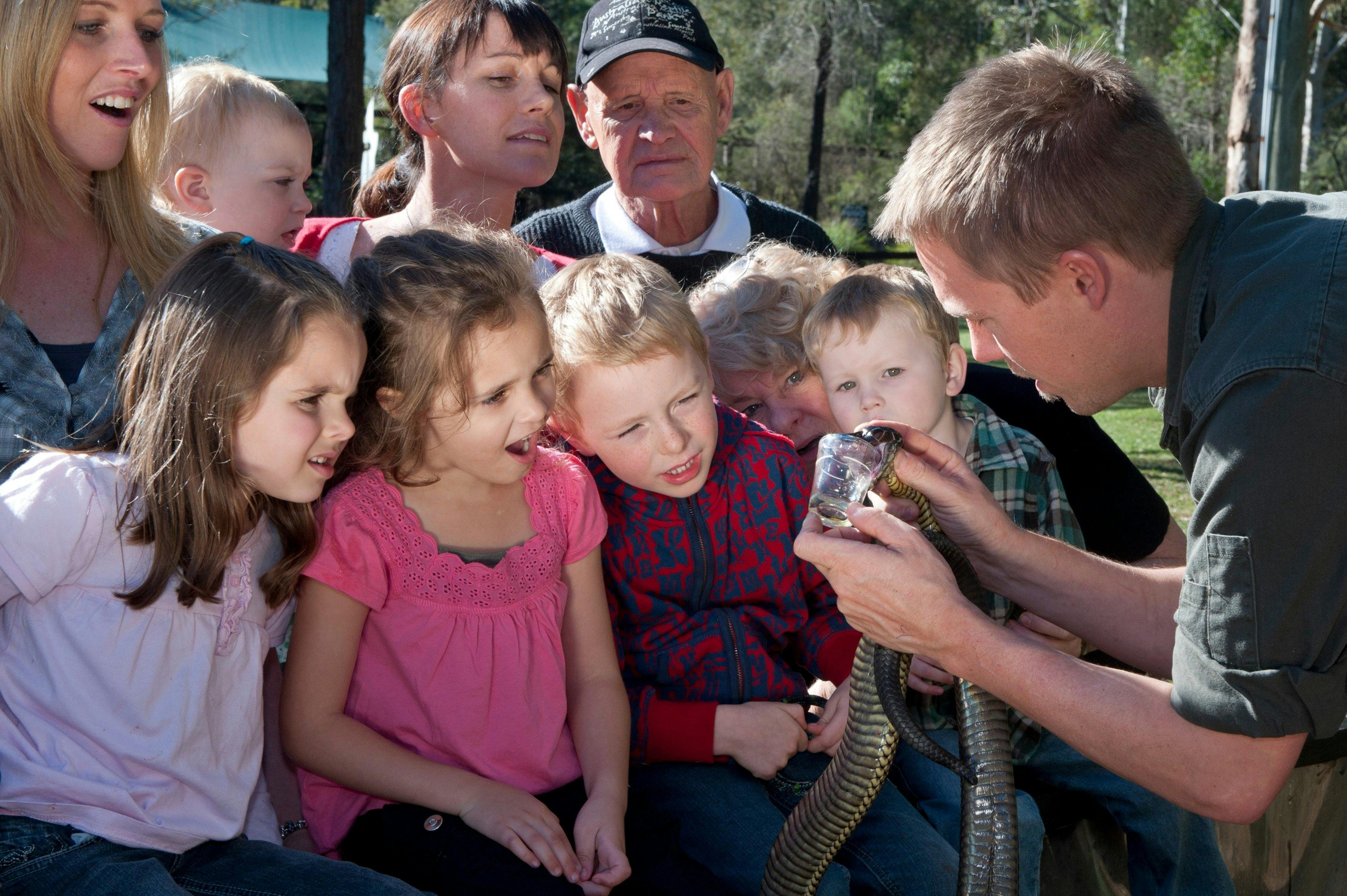 Tim Faulkner demonstrates snake venom milking for children