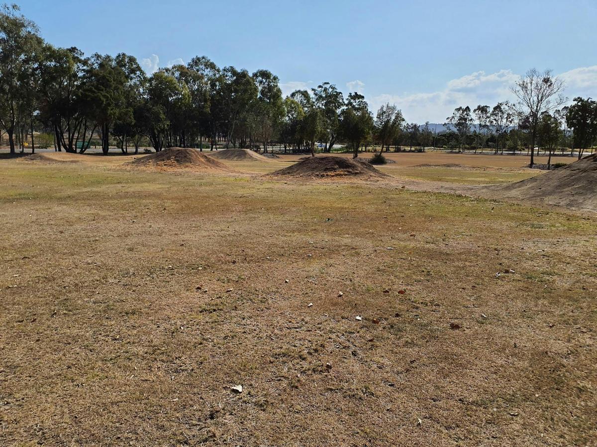 Henry Lawson Bicentennial Park