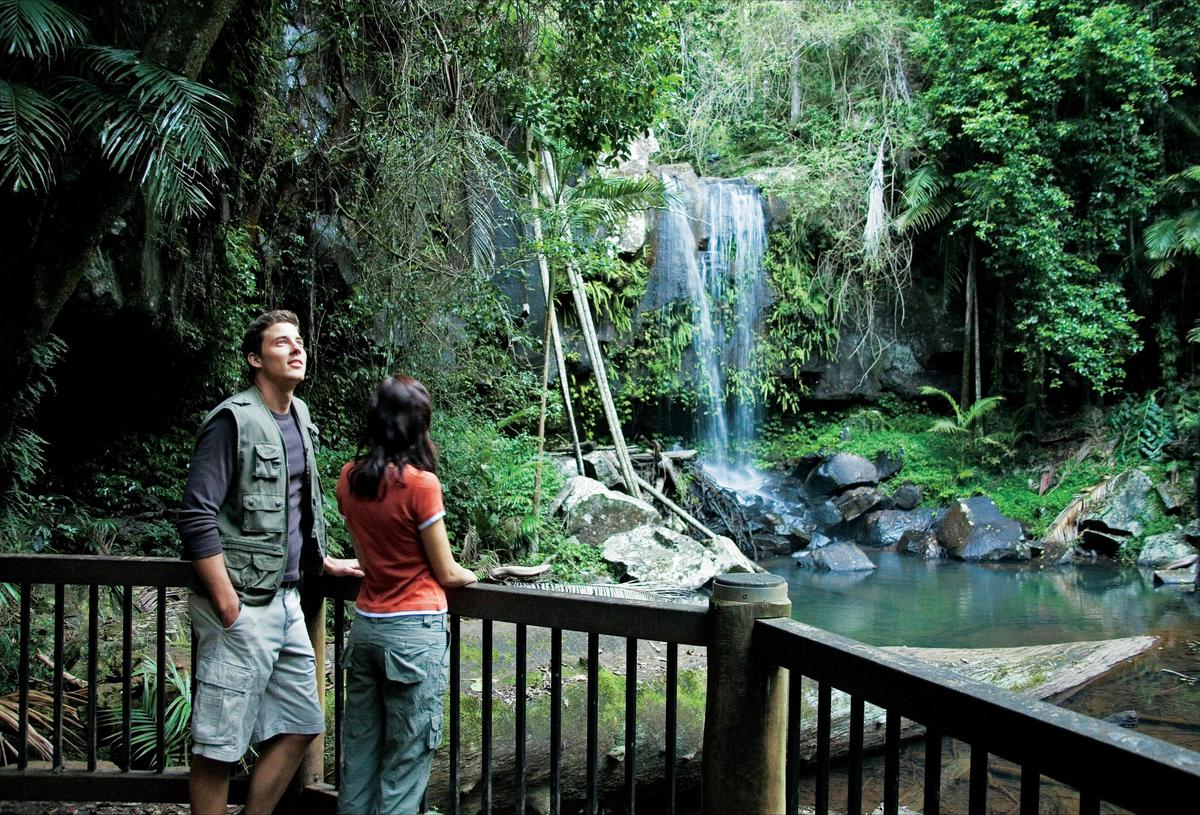 Stop to take in the intricate beauty of Curtis Falls.