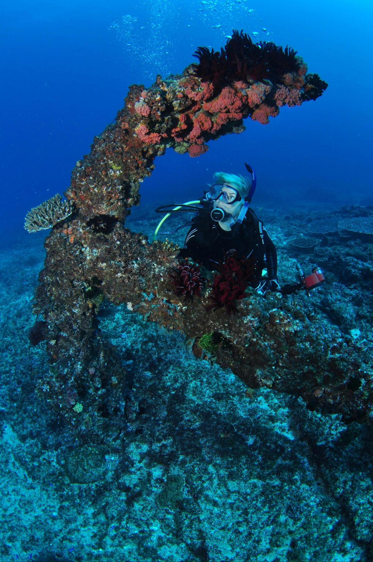 Hutchinson Shoal Dive Site