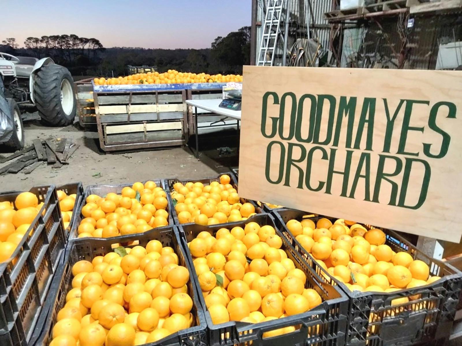Fresh local citrus from the Hunter
