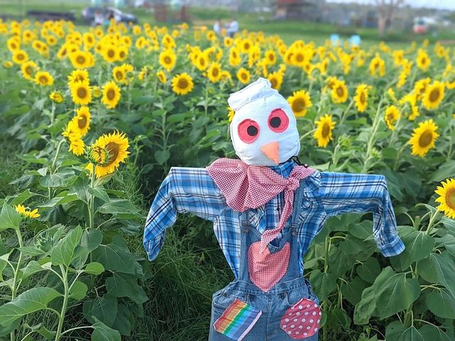 Newcastle City Farmers Market