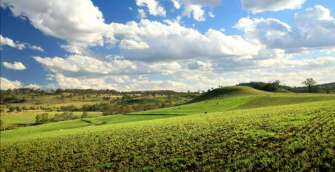 Hodgson Vale