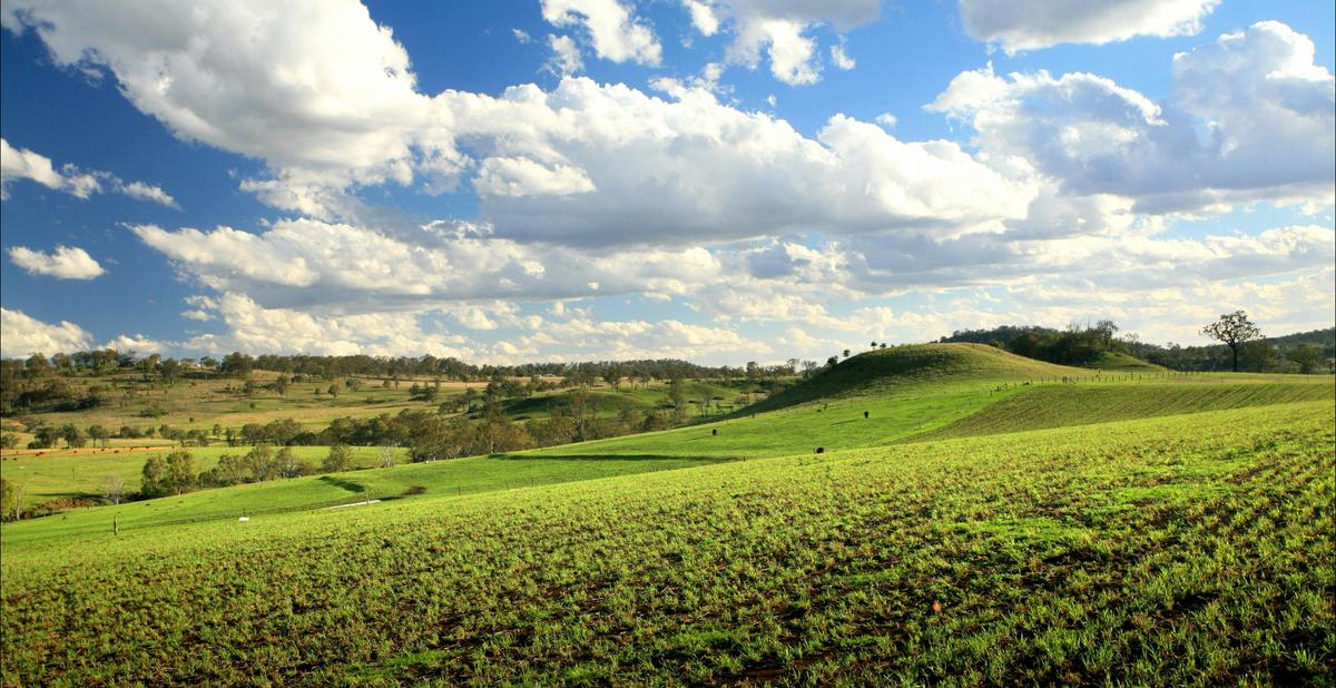 Hodgson Vale Views