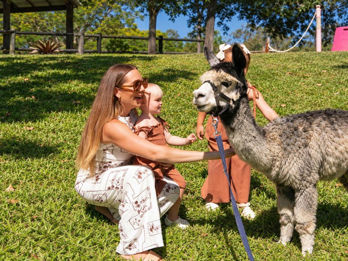 Historic Rivermill Farmstay in Gold Coast Hinterland
