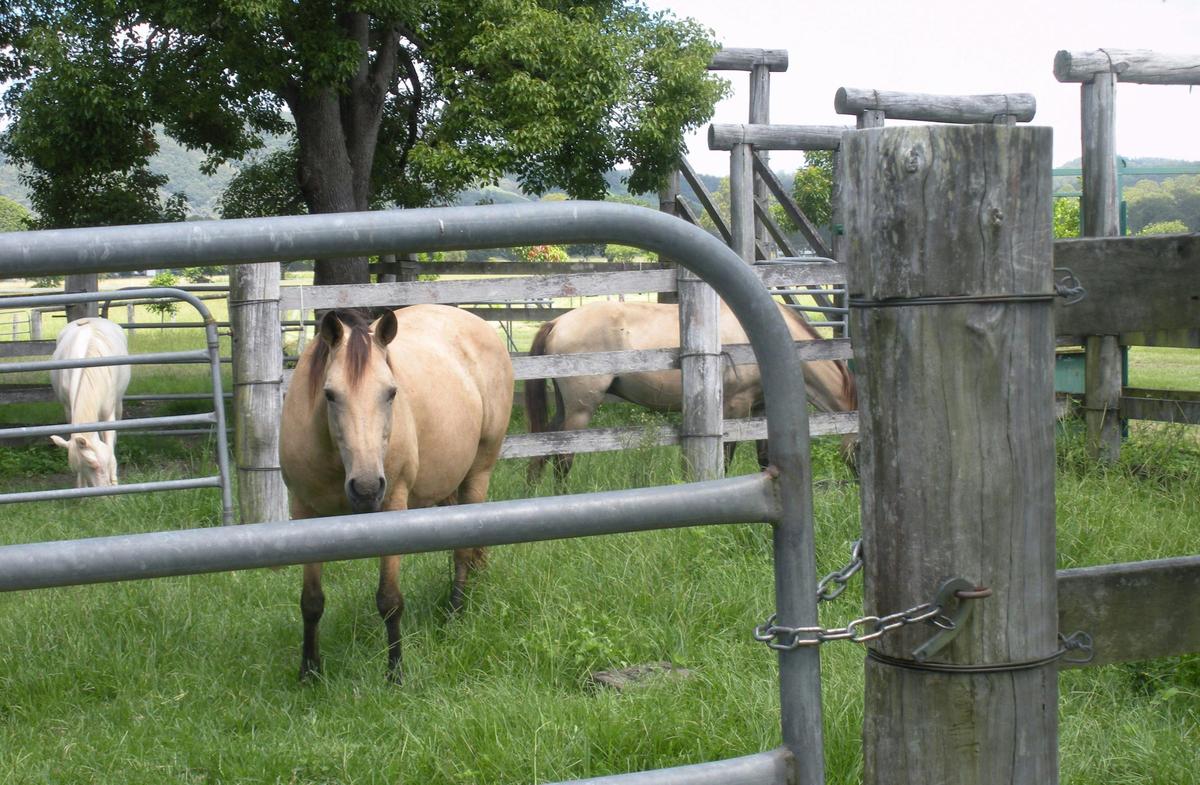 Imbil Bridge Farm