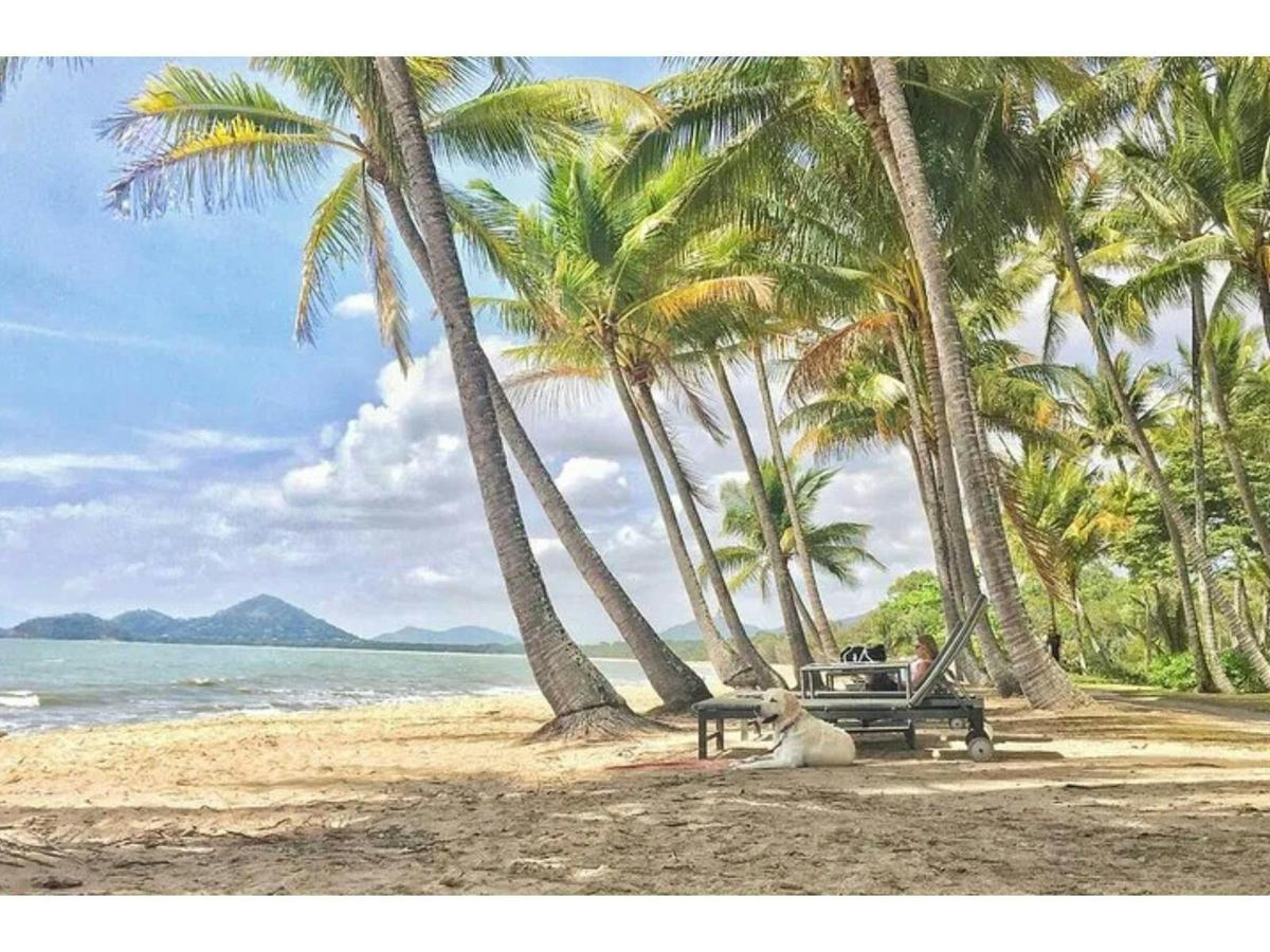 Cairns City Half Day Tour