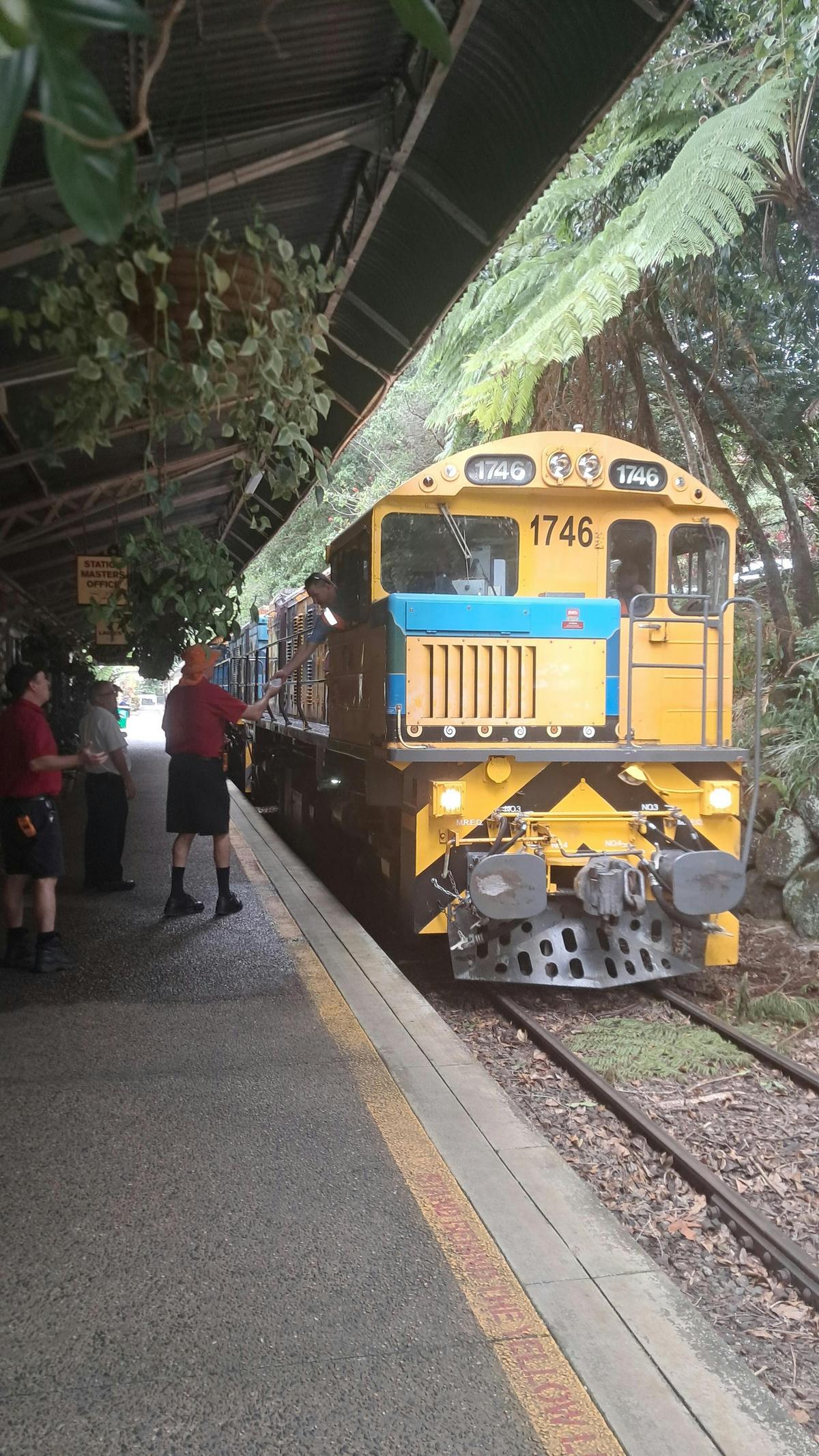 Cairns Small-Group Kuranda Tour: Skyrail & Scenic Railway
