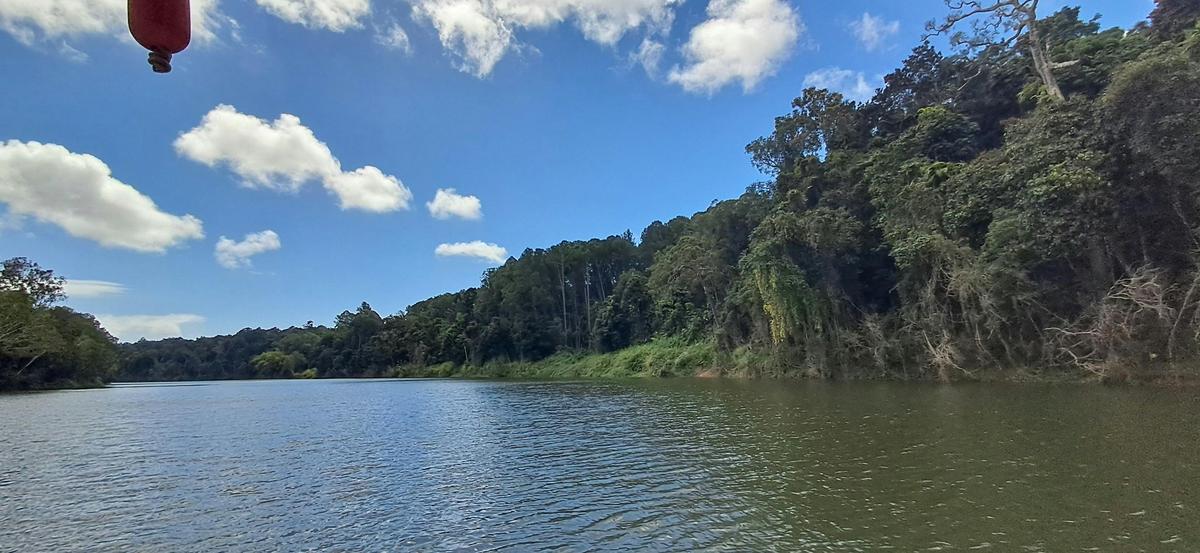 Cairns Small-Group Kuranda Tour: Skyrail & Scenic Railway