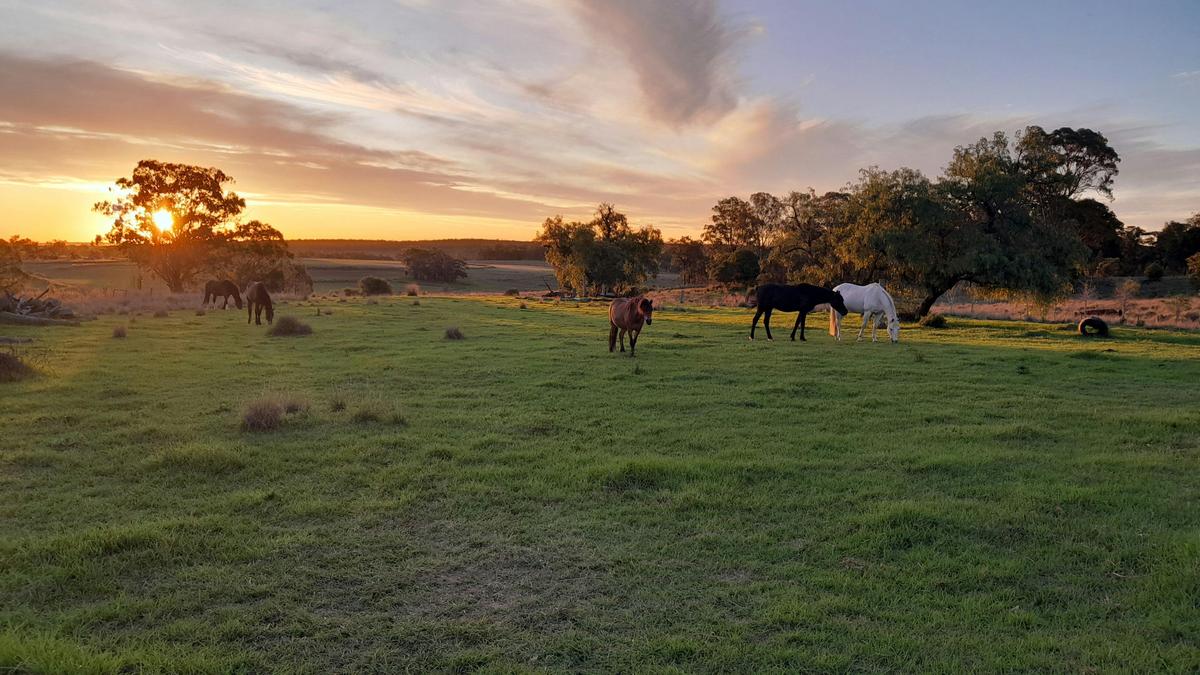 Hillview Darling Downs