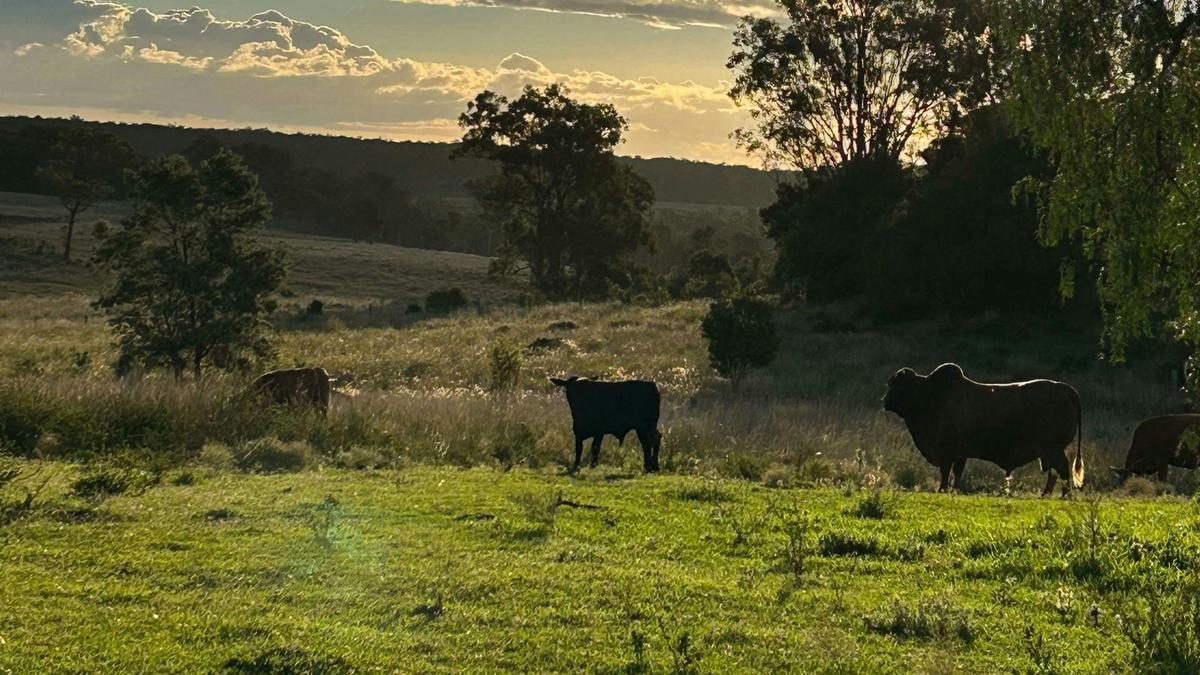 Hillview Darling Downs