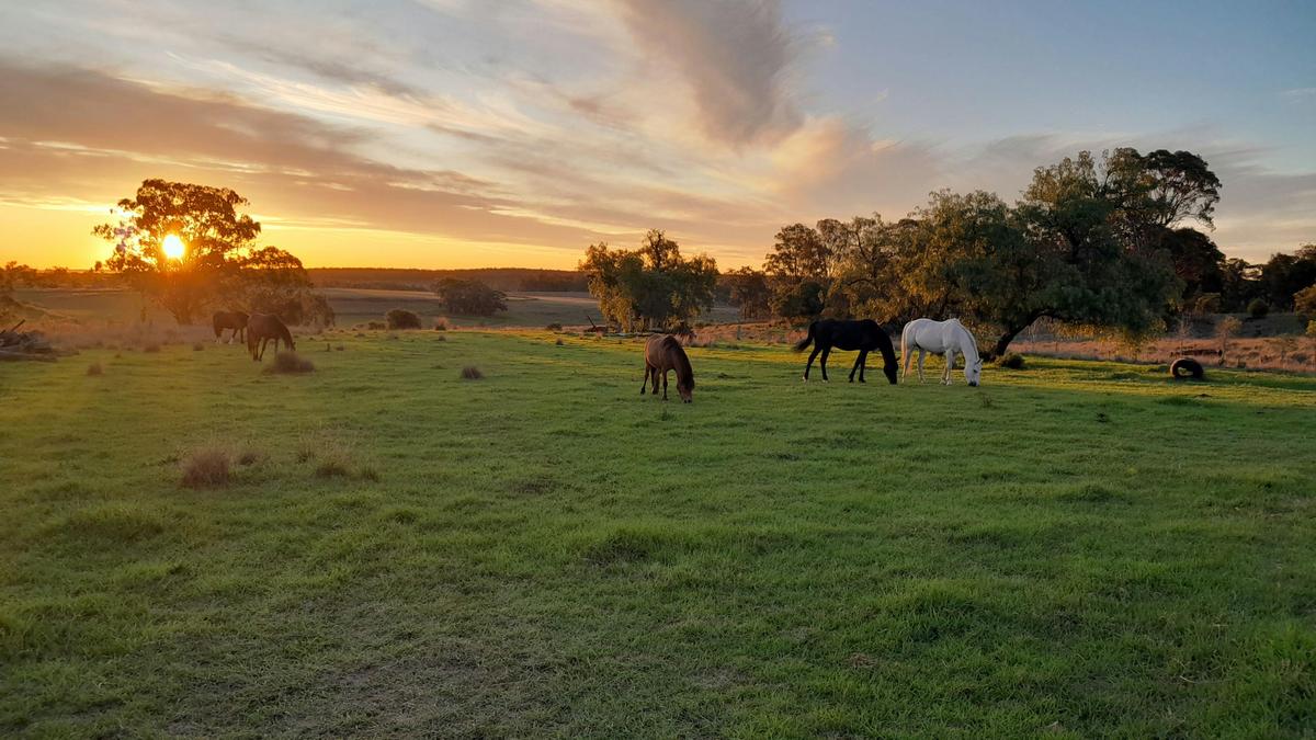 Hillview Darling Downs