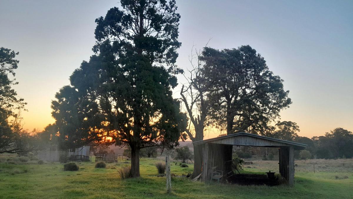 Hillview Darling Downs
