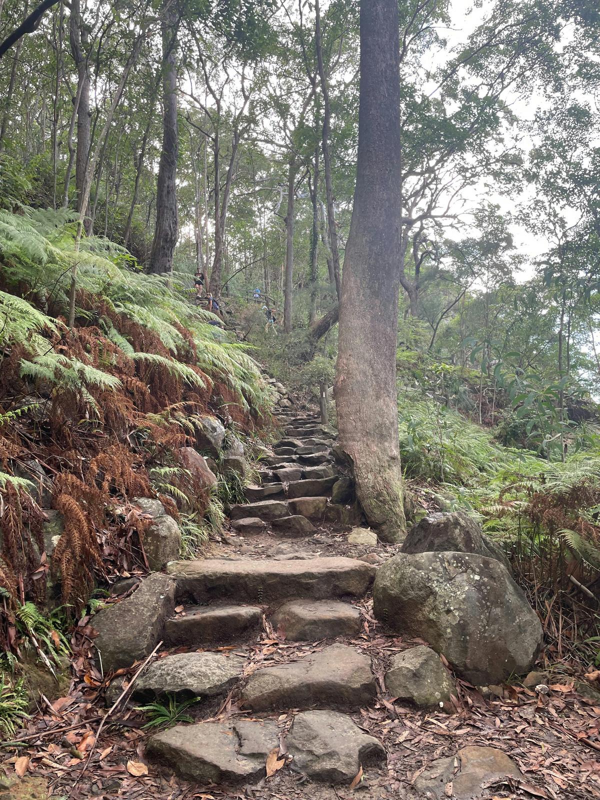 Local walks