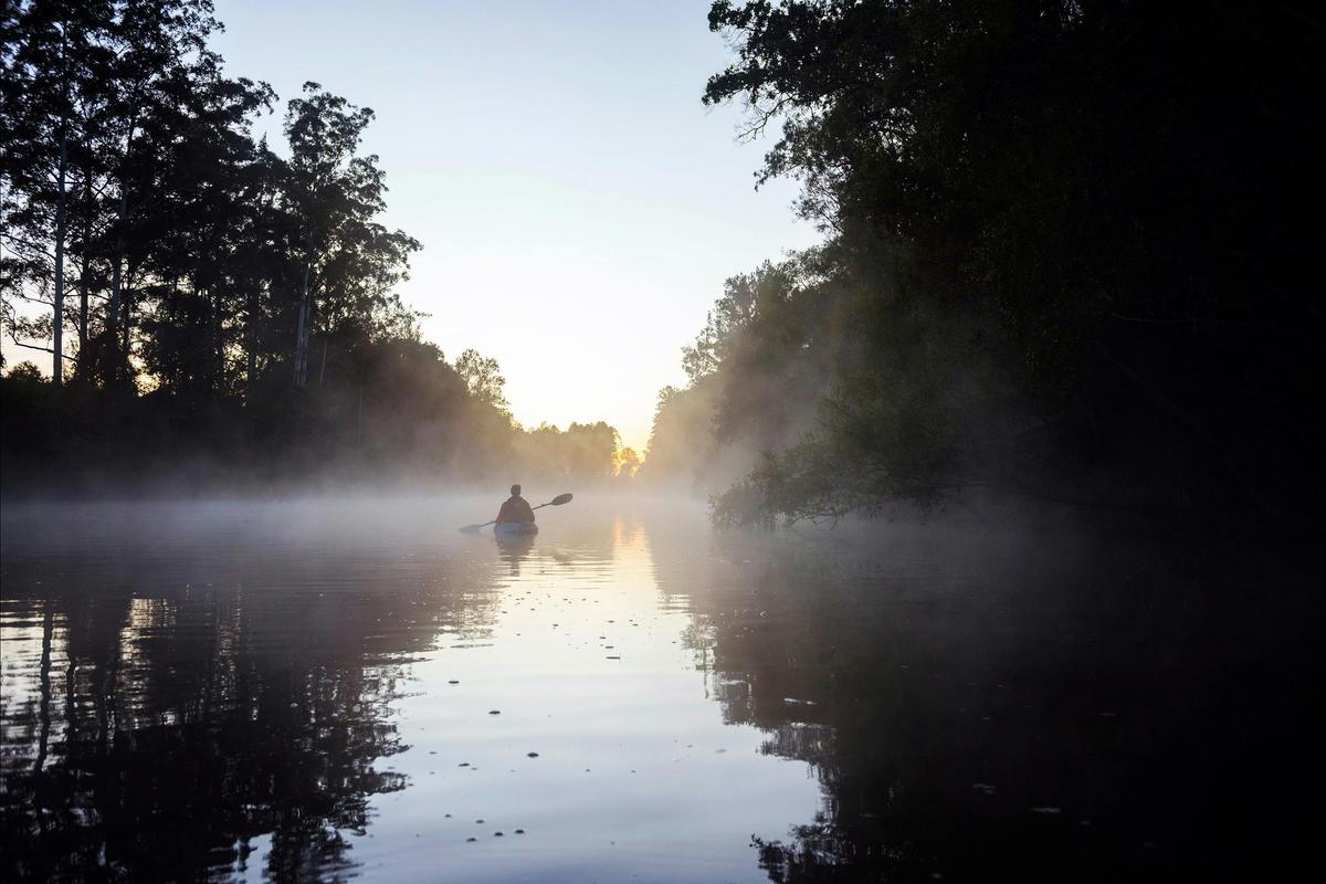 Mist morning on Yabba Creek Imbil