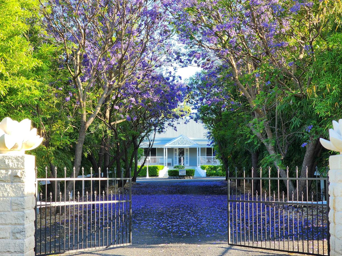 Jubri's hideaway Entry