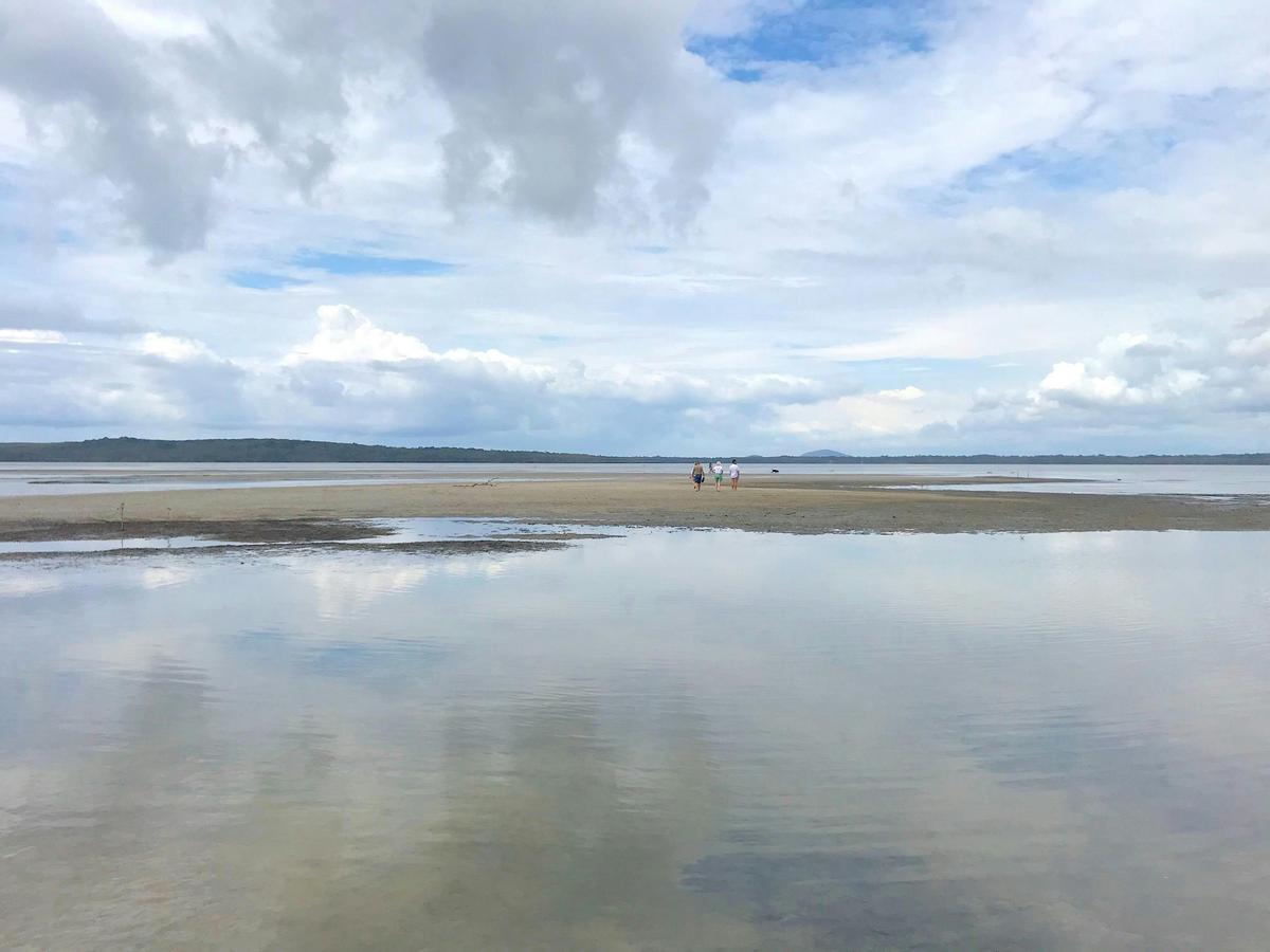 Secrets of Noosa Tour with Oceanview Lunch, Lookout, Art, Nature, History & Noosa River Ferry