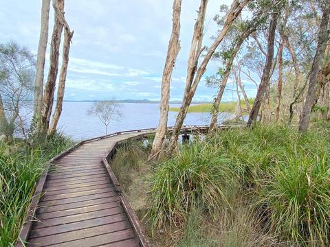 Noosa Hinterland Tour with Gourmet Lunch, Wine and Cheese, Mead, Lookout, Villages & Everglades Lake