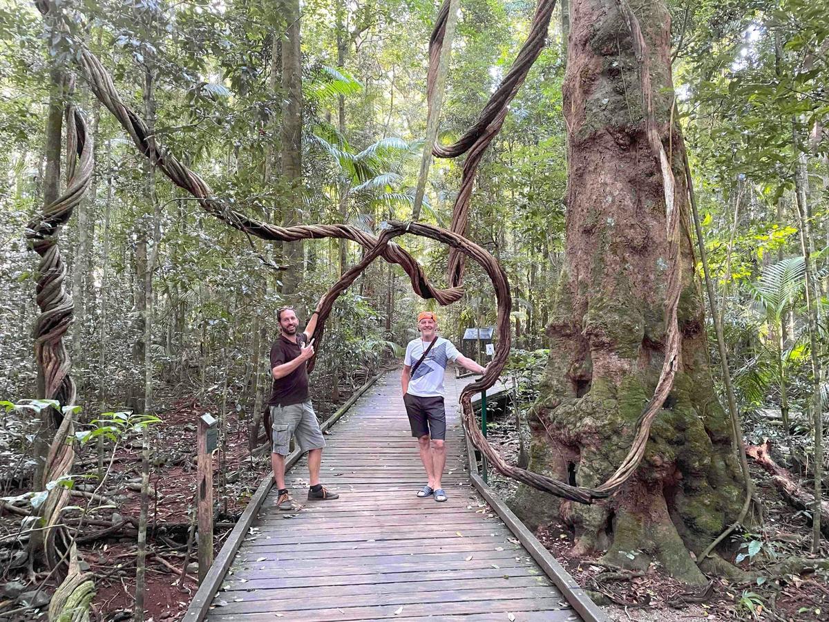 Maleny and Montville Tour with Artisan Village, Lunch, Waterfall, Wine Tasting, Nature Walk & Views