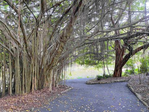 Sunshine Coast Hidden Country Delights Private Tour with Lunch, Ginger Factory, Eumundi and more