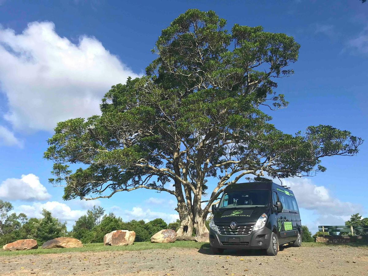 Noosa Hinterland Tour with Gourmet Lunch, Wine and Cheese, Mead, Lookout, Villages & Everglades Lake