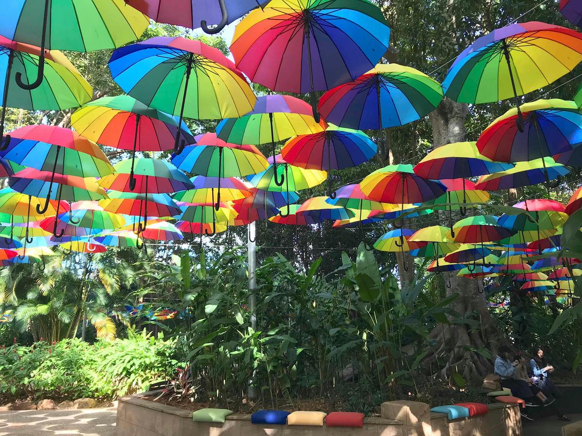 Sunshine Coast Hidden Country Delights Private Tour with Lunch, Ginger Factory, Eumundi and more