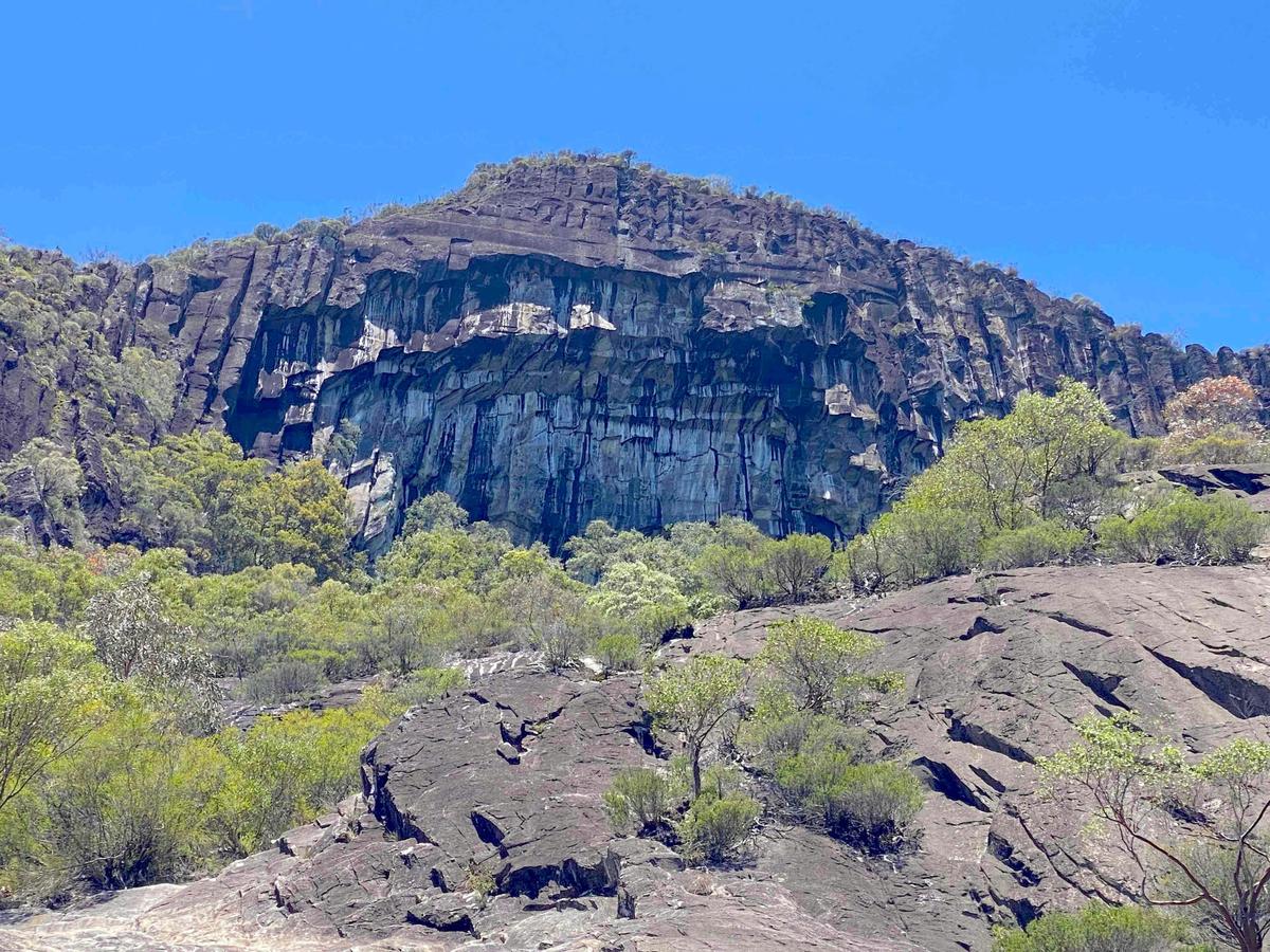 Glass House Mountains Tour with Lunch, Lookouts, Nature and Culture