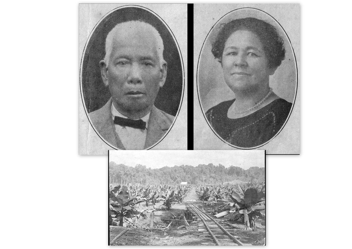 Mr and Mrs Tam Sie and a South Johnstone banana plantation