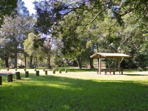 Moore Park picnic area