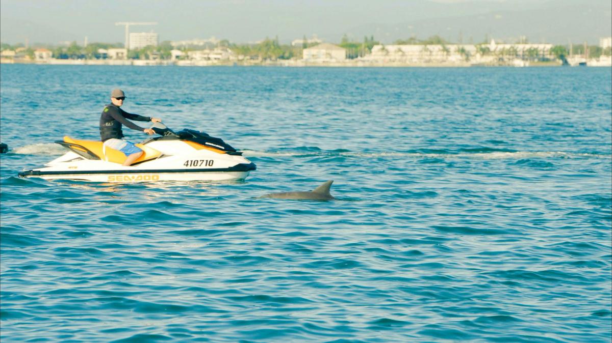 Jet Ski Safari 1 Hour (30 Kilometres)
