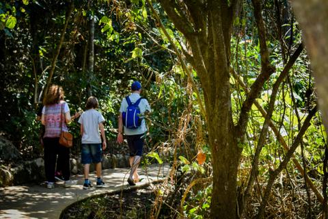 Jellurgal Walkabout Tour