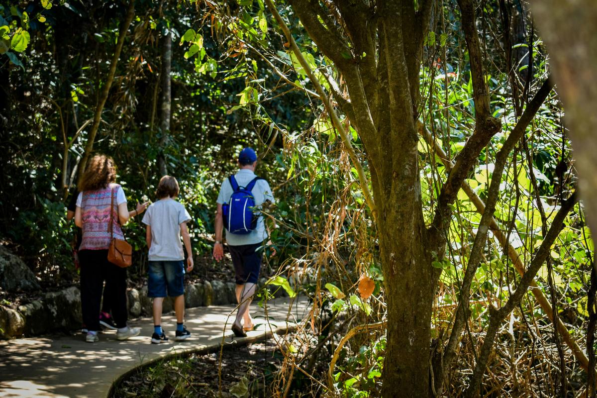 Jellurgal Walkabout Tour