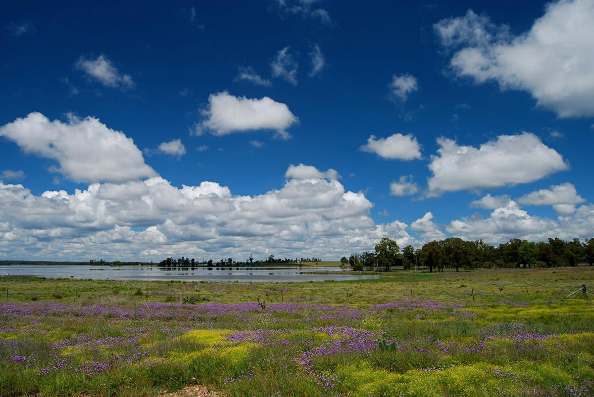 Coolmunda Dam, Inglewood