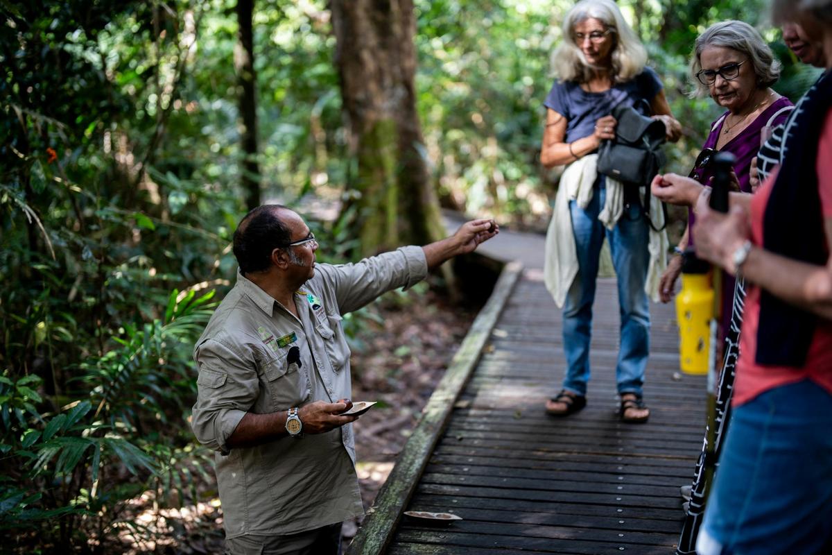 Take a guided tour through the World Heritage-listed rainforest in Kuranda, Tropical North Qld.