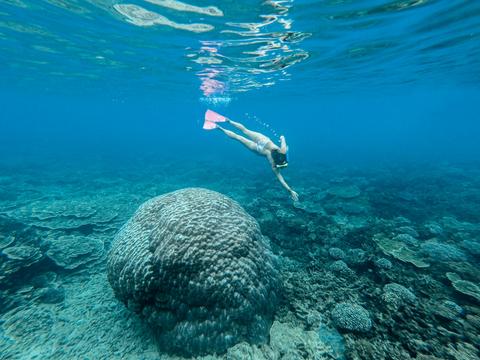 Great Keppel Island Day Trip with Lunch & Snorkel Hire